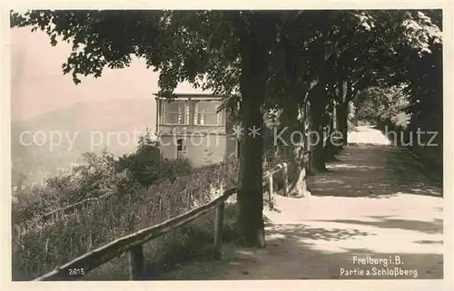 AK / Ansichtskarte Freiburg Breisgau Partie am Schlossberg Kat. Freiburg im Breisgau