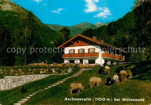 AK / Ansichtskarte Mittenwald Bayern Aschaueralm  Kat. Mittenwald