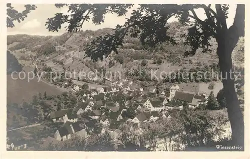 AK / Ansichtskarte Wiesensteig  Kat. Wiesensteig