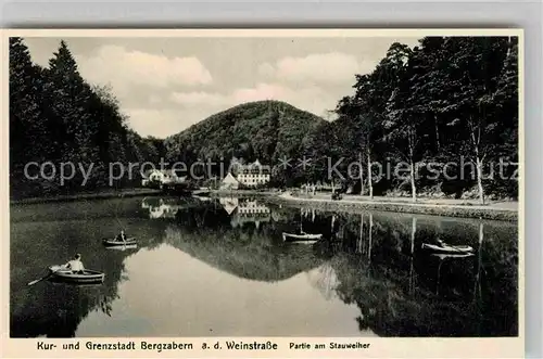 AK / Ansichtskarte Bergzabern Bad Stauweiher Kat. Bad Bergzabern