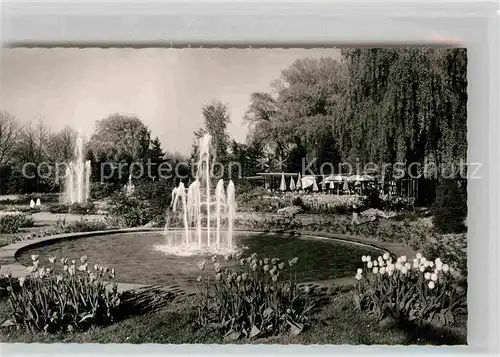 AK / Ansichtskarte Zweibruecken Rosengarten Springbrunnen Kat. Zweibruecken