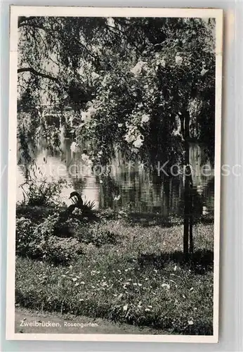 AK / Ansichtskarte Zweibruecken Rosengarten Kat. Zweibruecken