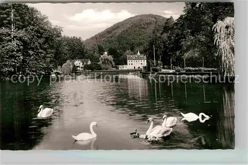 AK / Ansichtskarte Bergzabern Bad Schwanenteich Kat. Bad Bergzabern