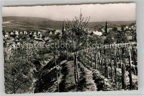 AK / Ansichtskarte Bergzabern Bad Blick vom Rebberg Kat. Bad Bergzabern