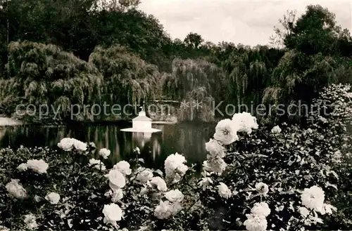 AK / Ansichtskarte Zweibruecken Rosengarten Teich Kat. Zweibruecken