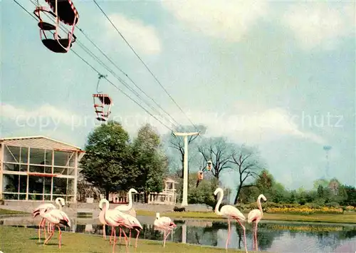 AK / Ansichtskarte Bundesgartenschau Koeln Flamingoteich Sessellift Kat. Expositions