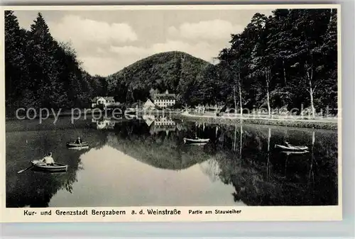 AK / Ansichtskarte Bergzabern Bad Partie am Stauweiher Kat. Bad Bergzabern