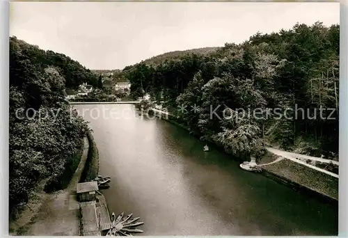 AK / Ansichtskarte Bergzabern Bad Schwanenweiher Kat. Bad Bergzabern