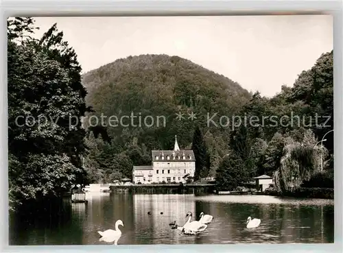 AK / Ansichtskarte Bergzabern Bad Schwanenweiher Kat. Bad Bergzabern