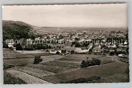 AK / Ansichtskarte Bad Bergzabern Panorama  Kat. Bad Bergzabern