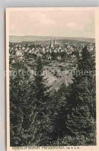 AK / Ansichtskarte Freudenstadt Panorama Kat. Freudenstadt