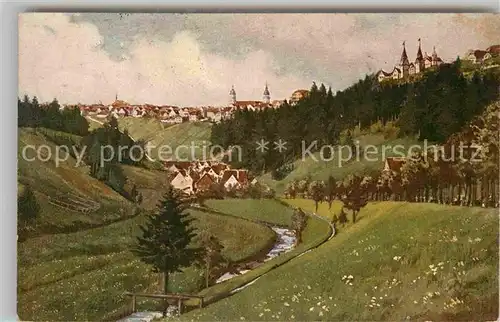 AK / Ansichtskarte Freudenstadt Panorama Kat. Freudenstadt