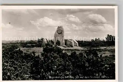 AK / Ansichtskarte Ruhestein Denkmal Kat. Baiersbronn