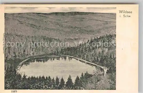 AK / Ansichtskarte Ruhestein Wildsee Kat. Baiersbronn