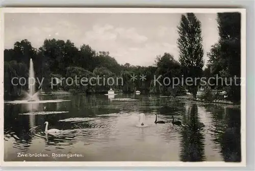 AK / Ansichtskarte Zweibruecken Rosengarten Teich Kat. Zweibruecken