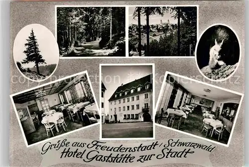 AK / Ansichtskarte Freudenstadt Waldweg Panorama Hotel Gaststaette zur Stadt  Kat. Freudenstadt