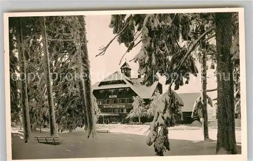 AK / Ansichtskarte Lamm Kniebis Hotel Kurhaus Winter Kat. Freudenstadt