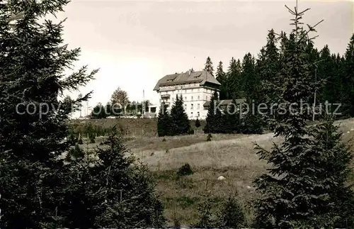 AK / Ansichtskarte Notschrei Waldhotel Kat. Todtnau