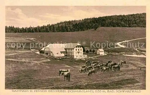 AK / Ansichtskarte Schauinsland Gasthaus Pension Giesshuebel Kat. Oberried