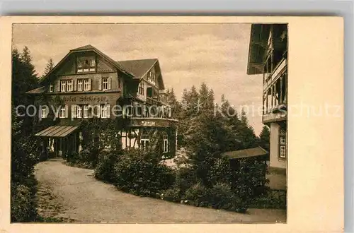 AK / Ansichtskarte Freudenstadt Waldhotel Stokinger Kat. Freudenstadt