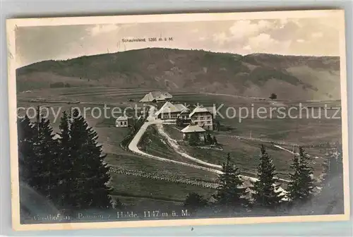 AK / Ansichtskarte Schauinsland Gasthof Pension zur Halde Kat. Oberried