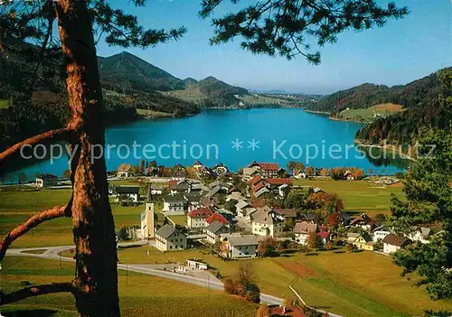 AK / Ansichtskarte Fuschl See Salzkammergut Panorama Fuschlsee Kat. Fuschl am See