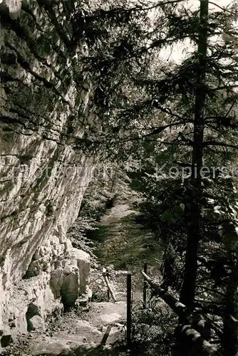 AK / Ansichtskarte Wutach Wutachschlucht Kat. Wutach