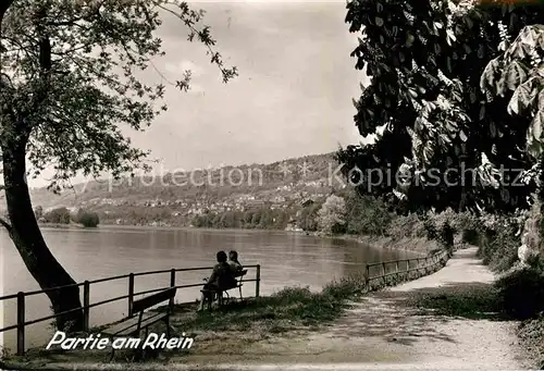 AK / Ansichtskarte Waldshut Tiengen Partie am Rhein