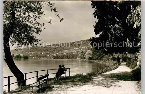 AK / Ansichtskarte Waldshut Tiengen Partie am Rhein