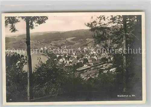 AK / Ansichtskarte Waldshut Tiengen Panorama Rhein