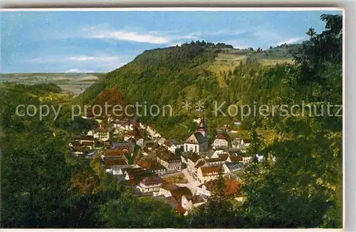 AK / Ansichtskarte Berneck Fichtelgebirge Panorama  Kat. Bad Berneck