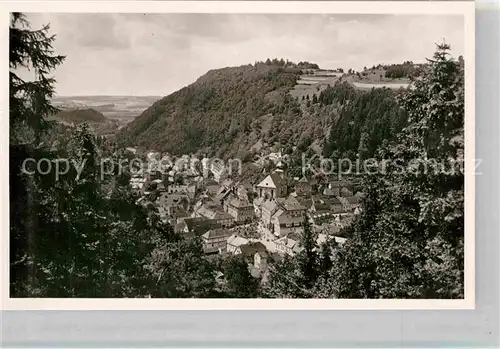 AK / Ansichtskarte Berneck Fichtelgebirge Panorama Kat. Bad Berneck