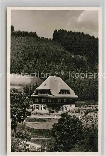 AK / Ansichtskarte Neustadt Schwarzwald Pension Haus Sonnhalde