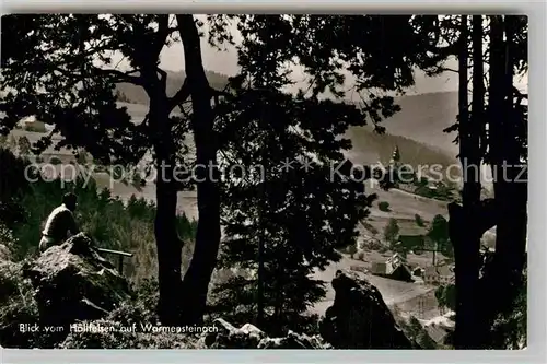 AK / Ansichtskarte Warmensteinach Panorama Blick vom Hoellfelsen Kat. Warmensteinach Fichtelgebirge