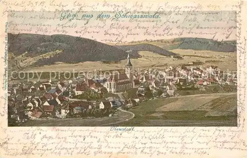 AK / Ansichtskarte Neustadt Schwarzwald Panorama Kirche