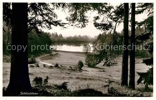 AK / Ansichtskarte Grafenhausen Schwarzwald Schluechtsee Kat. Grafenhausen