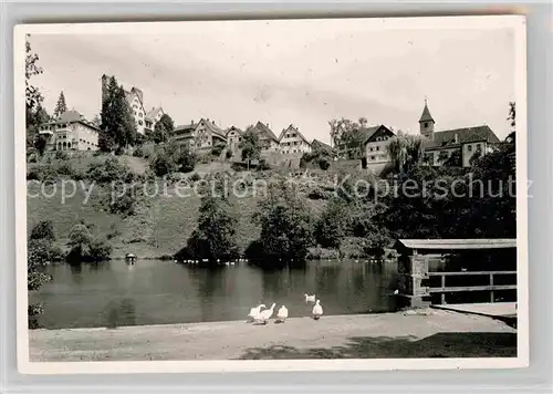 AK / Ansichtskarte Berneck Bad Schwaene Teich Panorama Kat. Bad Berneck Fichtelgebirge