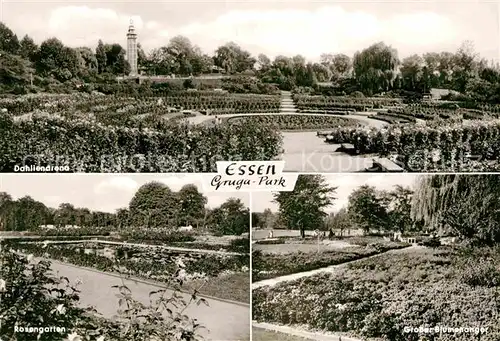 AK / Ansichtskarte Essen Ruhr Gruga Park Dahlienarena Rosengarten Grosser Blumenanger Kat. Essen