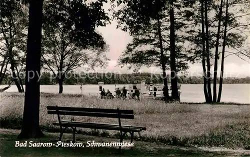 AK / Ansichtskarte Pieskow Bad Saarow Schwanenwiese Bootsanleger Scharmuetzelsee Kat. Bad Saarow Pieskow