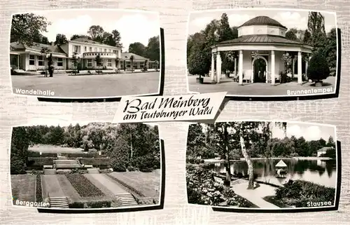 AK / Ansichtskarte Bad Meinberg Wandelhalle Berggarten Brunnentempel Stausee Kat. Horn Bad Meinberg