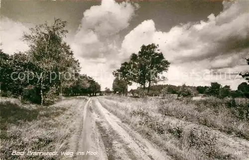 AK / Ansichtskarte Bad Bramstedt Weg ins Moor Kat. Bad Bramstedt