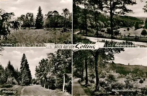 AK / Ansichtskarte Holzminden Weser Landschaftspanorama Solling Torfmoor Fohlenplaken Holzmindenertal Waldweg Kat. Holzminden