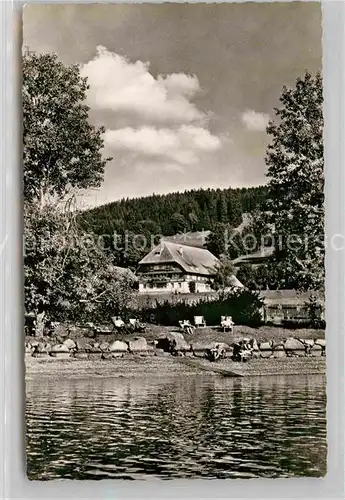 AK / Ansichtskarte Titisee Pension Seehof Kat. Titisee Neustadt