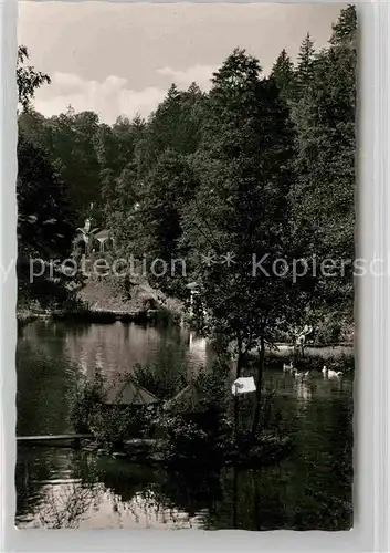 AK / Ansichtskarte Berneck Fichtelgebirge Kuranlagen Kat. Bad Berneck