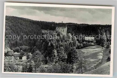 AK / Ansichtskarte Berneck Fichtelgebirge Ruine Stein Kat. Bad Berneck