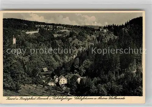 AK / Ansichtskarte Berneck Fichtelgebirge Schlossturm Ruine Wallenrode Kat. Bad Berneck