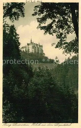 AK / Ansichtskarte Lauenstein Oberfranken Burg Lauenstein Kat. Ludwigsstadt