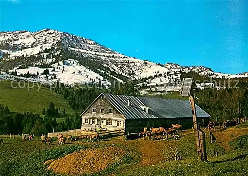 AK / Ansichtskarte Steibis Alpe Remmelegg Einegundkopf  Kat. Oberstaufen