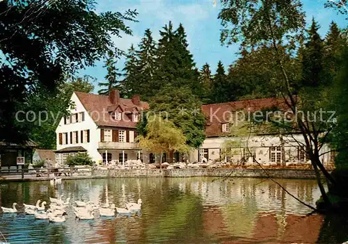 AK / Ansichtskarte Horn Bad Meinberg Silbermuehle  Kat. Horn Bad Meinberg