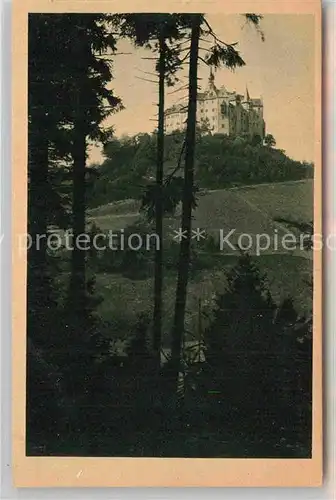 AK / Ansichtskarte Lauenstein Oberfranken Burg Lauenstein Kat. Ludwigsstadt